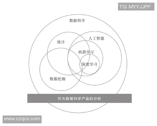 深圳排球队团队协作表现的深度数据分析与探讨